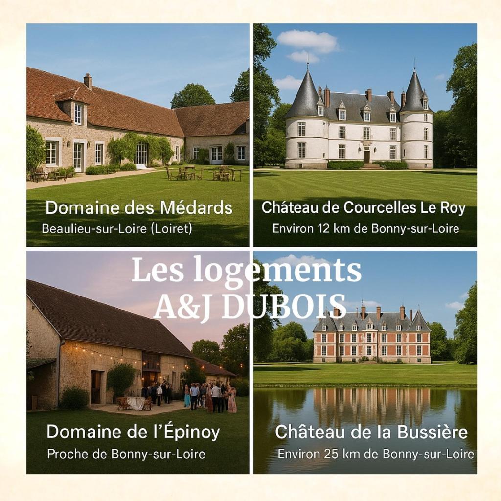 A&Jduplex - Bonny Sur Loire - Chateaux De Guedelon - Pont Canal מראה חיצוני תמונה